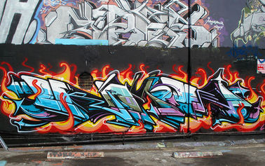 I graffiti multicolori spruzzano per dipingere la viscosità media veloce 400ml di tempo d'essiccamento